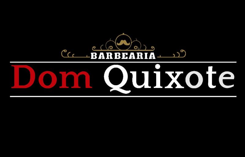 Dom Quixote Vicente Pires